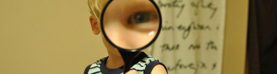 Õppimise rõõm – tundlikud perioodid