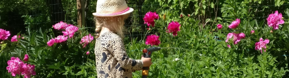 Igapäevaelu - miks nii oluline?