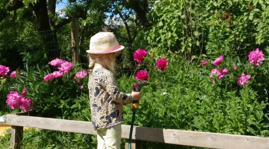 Igapäevaelu - miks nii oluline?