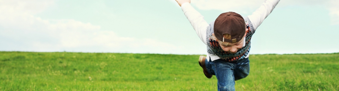 Vabadus ja piirangud