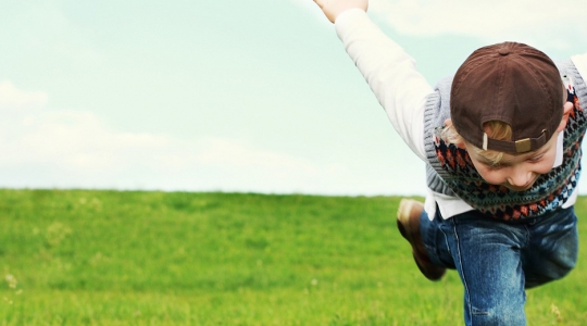 Vabadus ja piirangud